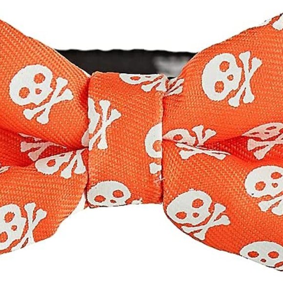 Halloween Glow in The Dark Orange & Black Skull Dog Collar - XS - Picture 1 of 2